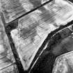 Rhives, oblique aerial view, taken from the WSW, centred on the cropmarks of an enclosure.