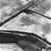 Rhives, oblique aerial view, taken from the SW, centred on the cropmarks of an enclosure.