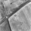 Upper Cullernie, oblique aerial view, taken from the NNE, centred on the cropmark of a possible ring-ditch.