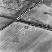 Upper Cullernie, oblique aerial view, taken from the NW, centred on the cropmark of a possible ring-ditch.