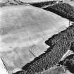 Mains of Daltulich, oblique aerial view, taken from the NNW, centred on the cropmarks of a settlement.