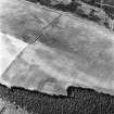 Mains of Daltulich, oblique aerial view, taken from the WSW, centred on the cropmarks of a settlement.
