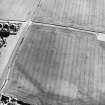 Tradespark, oblique aerial view, taken from the NE, centred on the cropmarks of an enclosure.