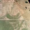 Mains of Garten, oblique aerial view, taken from the NE, centred on the cropmarks of a barrow cemetery.