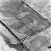 Bogside of Brodie, oblique aerial view, taken from the NNE, centred on the cropmarks of an enclosure and a possible enclosure.