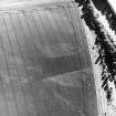 Pilmuir, oblique aerial view, taken from the NE, centred on the cropmarks of a barrow cemetery.