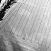 Pilmuir, oblique aerial view, taken from the SSW, centred on the cropmarks of a barrow cemetery.