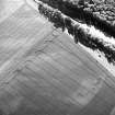 Pilmuir, oblique aerial view, taken from the E, centred on the cropmarks of a barrow cemetery.