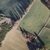 Oblique aerial view centred on the standing stone, taken from the SW.