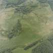 Oblique aerial view centred on the remains of the fort, taken from the NNE.