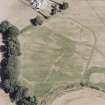 Dalginross, oblique aerial view, taken from the WNW, centred on the cropmarks of the Roman Fort.