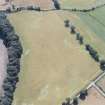 Lagg, oblique aerial view, taken from the NNE, centred on a complex of cropmarks which include a barrow, square barrow and pits.