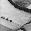 Lagg, oblique aerial view, taken from the SW, centred on a complex of cropmarks which include a barrow, square barrow and pits.
