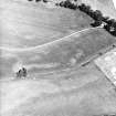 Monzie, oblique aerial view, taken from the SW, centred on the cropmarks of a barrow, possible ring-ditch and moated site.