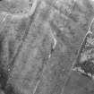Aerial photograph showing ring-ditch and cropmarks.
