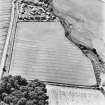 Dunning Roman Temporary Camp, oblique aerial view, taken from the N, showing the cropmark of the W side of the camp.