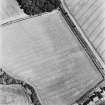 Dunning Roman Temporary Camp, oblique aerial view, taken from the SW, showing the cropmark of the W side of the camp.