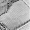 Dunning Roman Temporary Camp, oblique aerial view, taken from the SE, showing the cropmark of the W side of the camp.