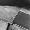 Oblique aerial view of Mains of Duncrub centred on the cropmarks of a settlement, taken from the SE.