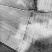 Mains of Duncrub, oblique aerial view, taken from the NW, centred on the cropmarks of a settlement.