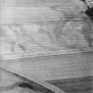 Oblique aerial view centred on the cropmarks of the enclosures, taken from the SW.