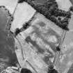 Millhaugh, oblique aerial view, taken from the NE, centred on a field containing cropmarks including those of an enclosure, ring-ditch, pits and rig.