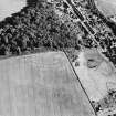 Oblique aerial view of Dun Knock, Dunning centred on the cropmarks of a fort, taken from the NNW.