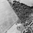 Oblique aerial view of Dun Knock, Dunning centred on the cropmarks of a fort, taken from the NW.