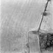 Coldrochie, oblique aerial view, taken from the S, centred on the cropmarks of a possible henge.