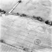 North Blackruthven, oblique aerial view, taken from the ESE, centred on the cropmarks of two enclosures and a pit-alignment.