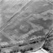 Oblique aerial view of Newmill Cottages centred on the cropmarks of a palisaded enclosure, souterrain, round house, pit-alignment and other cropmarks, taken from the SW.