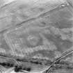 Oblique aerial view of Newmill Cottages centred on the cropmarks of a palisaded enclosure, souterrain, round house, pit-alignment and other cropmarks, taken from the SSW.