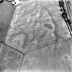 Oblique aerial view of loak centred on the cropmarks of a pit-alignment, taken from the SSE.
