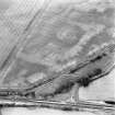 Oblique aerial view of Newmill Cottages centred on the cropmarks of a palisaded enclosure, souterrain, round house, pit-alignment and other cropmarks, taken from the SW.