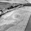 Oblique aerial view centred on the cropmarks of the palisaded enclosure, souterrain and pit-alignment, taken from the ENE.