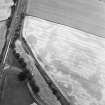 Oblique aerial view centred on the cropmarks of the palisaded enclosure, souterrain and pit-alignments, taken from the SSE.