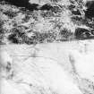 On-line Digital Images