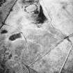 On-line Digital Images