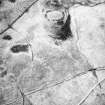 On-line Digital Images