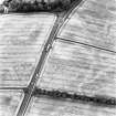 Gateside, oblique aerial view, taken from the NE, centred on the cropmarks of two barrows and a pit-circle.