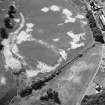 Ballathie, oblique aerial view, taken from the NE, centred on the cropmarks of a number of pits.