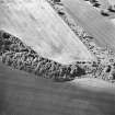 Oblique aerial view centred on the cropmarks of the Roman Temporary Camp, taken from the S.