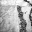 Hallhole, oblique aerial view, taken from the ENE, centred on the cropmarks of a round house within an enclosure. Cropmarks including those of pits and rig are scattered across the same field.