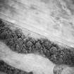 Hallhole, oblique aerial view, taken from the NNW, centred on the cropmarks of a round house within an enclosure. Cropmarks including those of pits and rig are scattered across the same field.