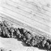 Hallhole, oblique aerial view, taken from the NW, centred on an area of cropmarks, including a round house and an enclosure.