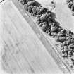 Hallhole, oblique aerial view, taken from the SE, centred on an area of cropmarks, including a round house and an enclosure.