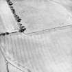 Oblique aerial view taken from the SE, centred on the cropmark of an enclosure.