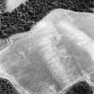 Oblique aerial view centred on the cropmarks of the enclosure and grange, taken from the W.