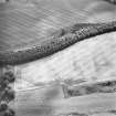 Oblique aerial view centred on the cropmarks of the palisaded enclosure, ring-ditch, Roman road, round house, souterrain, pits, linear cropmark and possible pit-alignment, taken from the N.