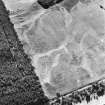 Carsie Mains, oblique aerial view, taken from the N, showing the cropmarks of a series of pit features including a pit-circle, mortuary enclosure and pit-alignment.
